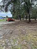Forestry Mulching