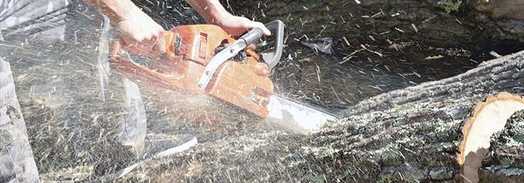 Complete Tree Service